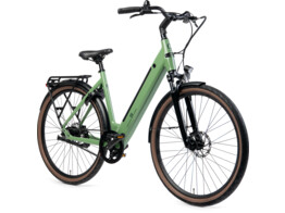 Huyser Q-bike D48 Reseda Green