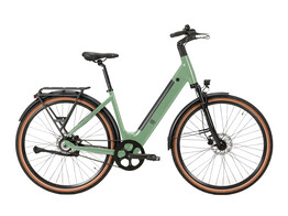 Q motiv    Q-One  D48 Reseda Green - 500Wh
